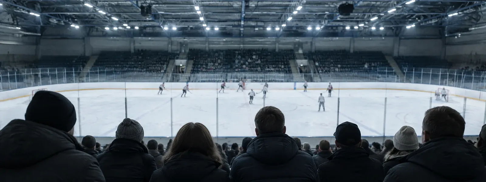 Publik vid en ishockeymatch